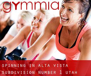 Spinning in Alta Vista Subdivision Number 1 (Utah)