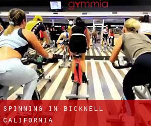 Spinning in Bicknell (California)