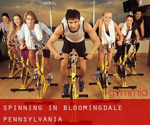 Spinning in Bloomingdale (Pennsylvania)