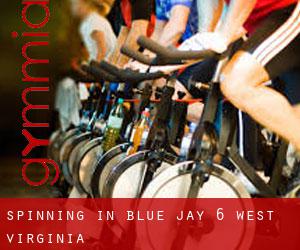 Spinning in Blue Jay 6 (West Virginia)