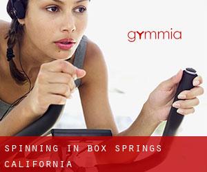 Spinning in Box Springs (California)