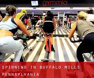 Spinning in Buffalo Mills (Pennsylvania)