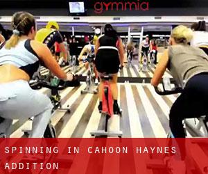 Spinning in Cahoon Haynes Addition