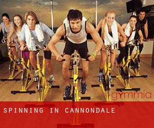 Spinning in Cannondale