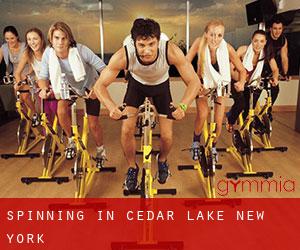 Spinning in Cedar Lake (New York)