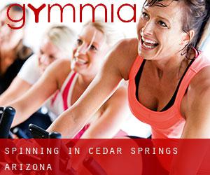 Spinning in Cedar Springs (Arizona)