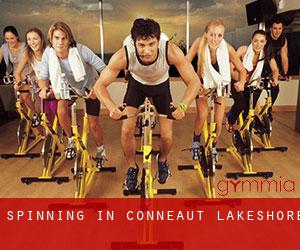 Spinning in Conneaut Lakeshore