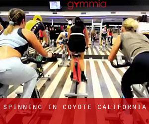 Spinning in Coyote (California) Spinning in Coyote (California)