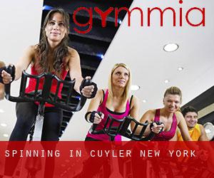 Spinning in Cuyler (New York)