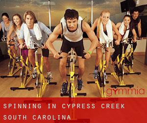 Spinning in Cypress Creek (South Carolina)