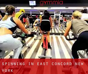 Spinning in East Concord (New York)