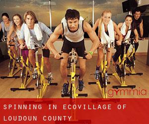 Spinning in EcoVillage of Loudoun County