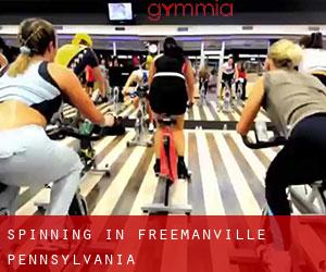Spinning in Freemanville (Pennsylvania)