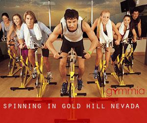 Spinning in Gold Hill (Nevada)