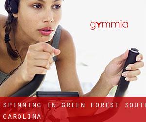 Spinning in Green Forest (South Carolina)