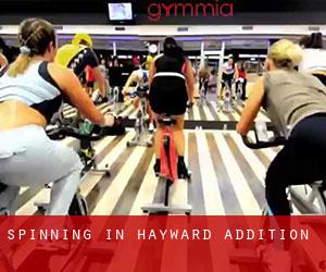Spinning in Hayward Addition