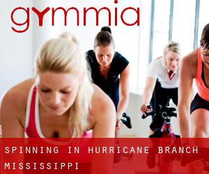 Spinning in Hurricane Branch (Mississippi)