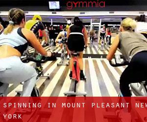 Spinning in Mount Pleasant (New York)