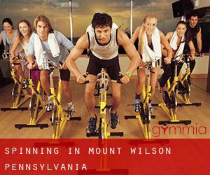 Spinning in Mount Wilson (Pennsylvania)