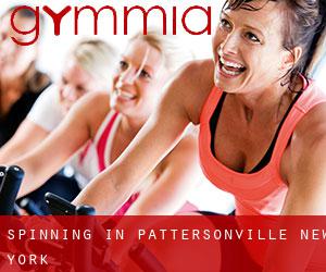 Spinning in Pattersonville (New York)