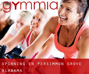 Spinning in Persimmon Grove (Alabama)
