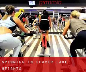 Spinning in Shaver Lake Heights