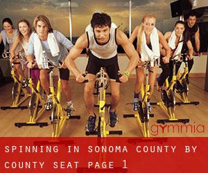 Spinning in Sonoma County by county seat - page 1