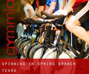 Spinning in Spring Branch (Texas)