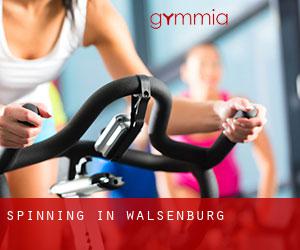 Spinning in Walsenburg