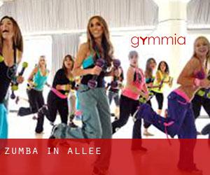 Zumba in Allee
