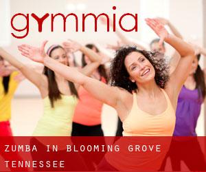 Zumba in Blooming Grove (Tennessee)