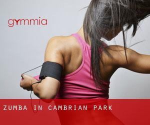 Zumba in Cambrian Park