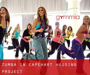 Zumba in Capehart Housing Project