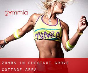 Zumba in Chestnut Grove Cottage Area