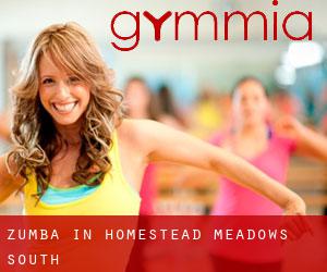 Zumba in Homestead Meadows South
