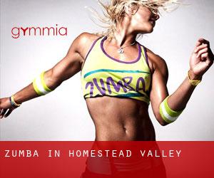 Zumba in Homestead Valley