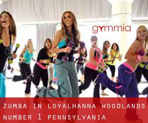 Zumba in Loyalhanna Woodlands Number 1 (Pennsylvania)