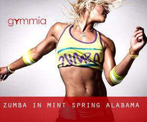 Zumba in Mint Spring (Alabama)