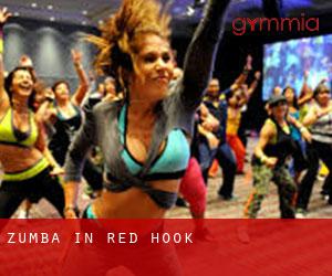 Zumba in Red Hook