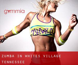 Zumba in Whites Village (Tennessee)