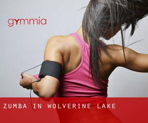 Zumba in Wolverine Lake