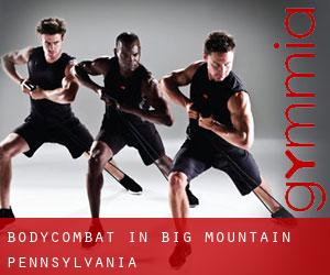 BodyCombat in Big Mountain (Pennsylvania)
