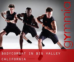 BodyCombat in Big Valley (California)