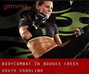 BodyCombat in Boones Creek (South Carolina)