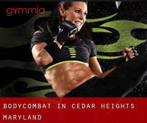 BodyCombat in Cedar Heights (Maryland)
