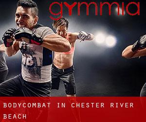 BodyCombat in Chester River Beach