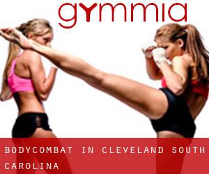 BodyCombat in Cleveland (South Carolina)