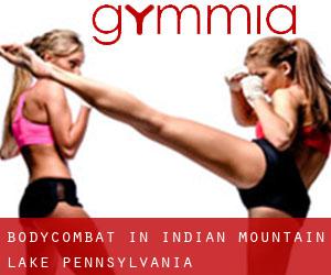 BodyCombat in Indian Mountain Lake (Pennsylvania)