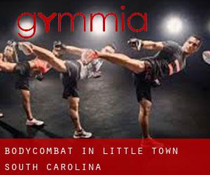 BodyCombat in Little Town (South Carolina)