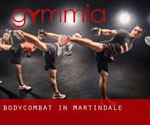 BodyCombat in Martindale